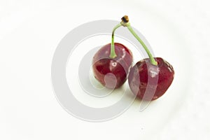 Two isolated red ripe and sweet cherries.copy space photo
